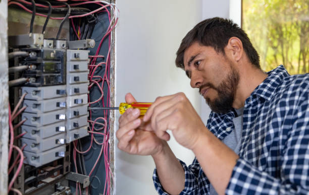 Best Electric Panel Repair  in Pocahontas, AR